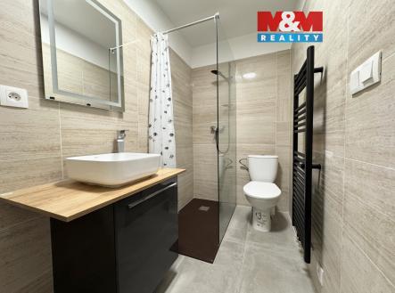 IMG_5498.jpeg | Pronájem bytu, 2+1, 76 m²