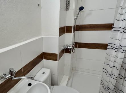 IMG_1387.jpeg | Pronájem bytu, 1+kk, 24 m²