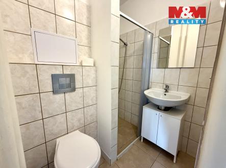 image_C4B99B72-DCE9-403C-8606-A731FC289EBD_1763638548.jpeg | Pronájem bytu, 1+kk, 25 m²