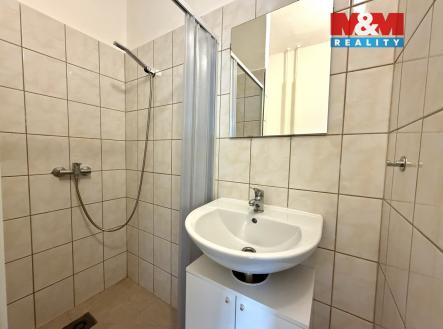 image_F303BF25-9F60-40ED-88AC-F795A870A4F3_1763638548.jpeg | Pronájem bytu, 1+kk, 25 m²