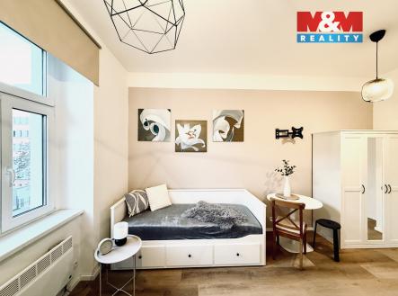 IMG_9358.jpg | Pronájem bytu, 1+kk, 19 m²