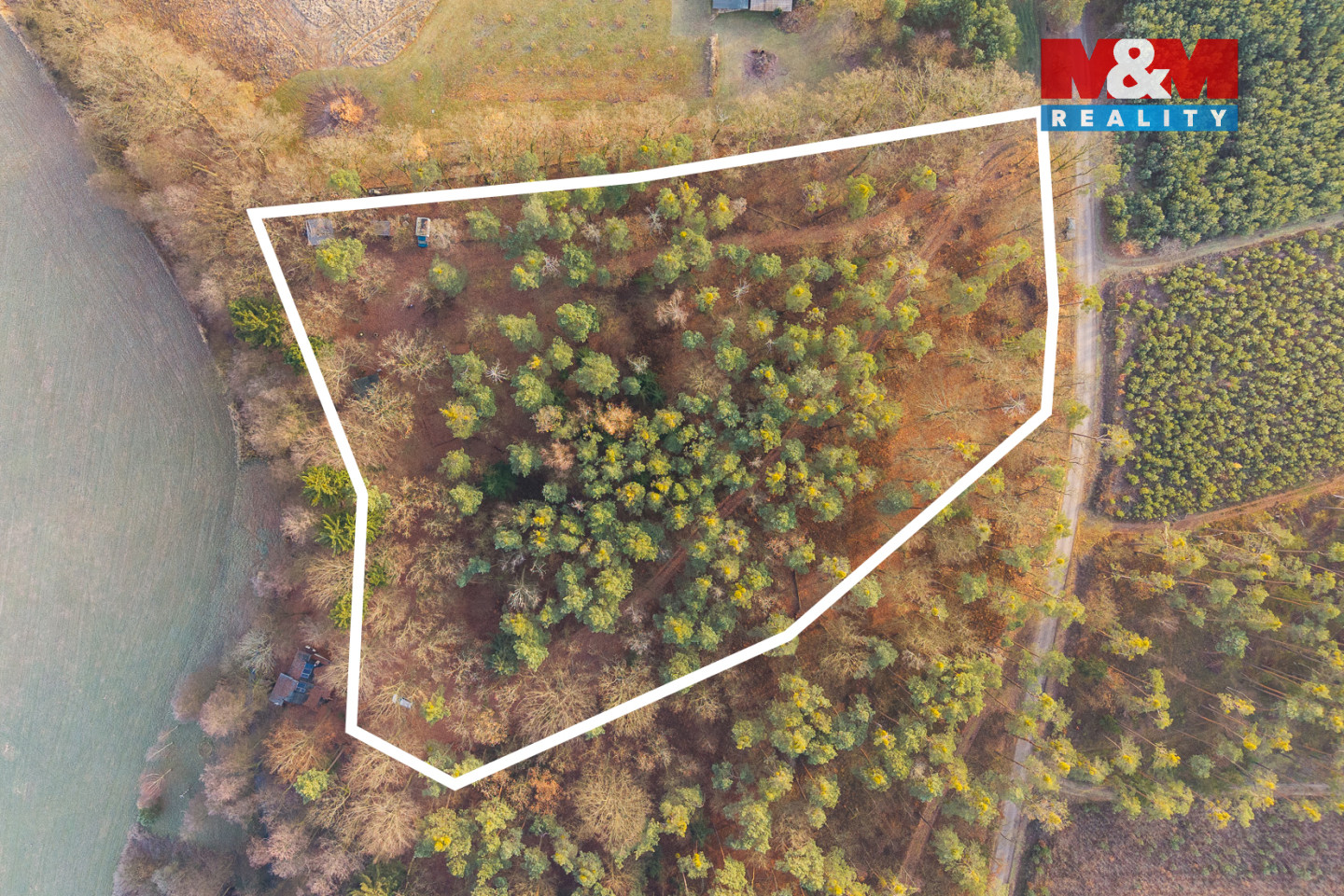 DJI_20251119095627_0028_D kopie b.jpg