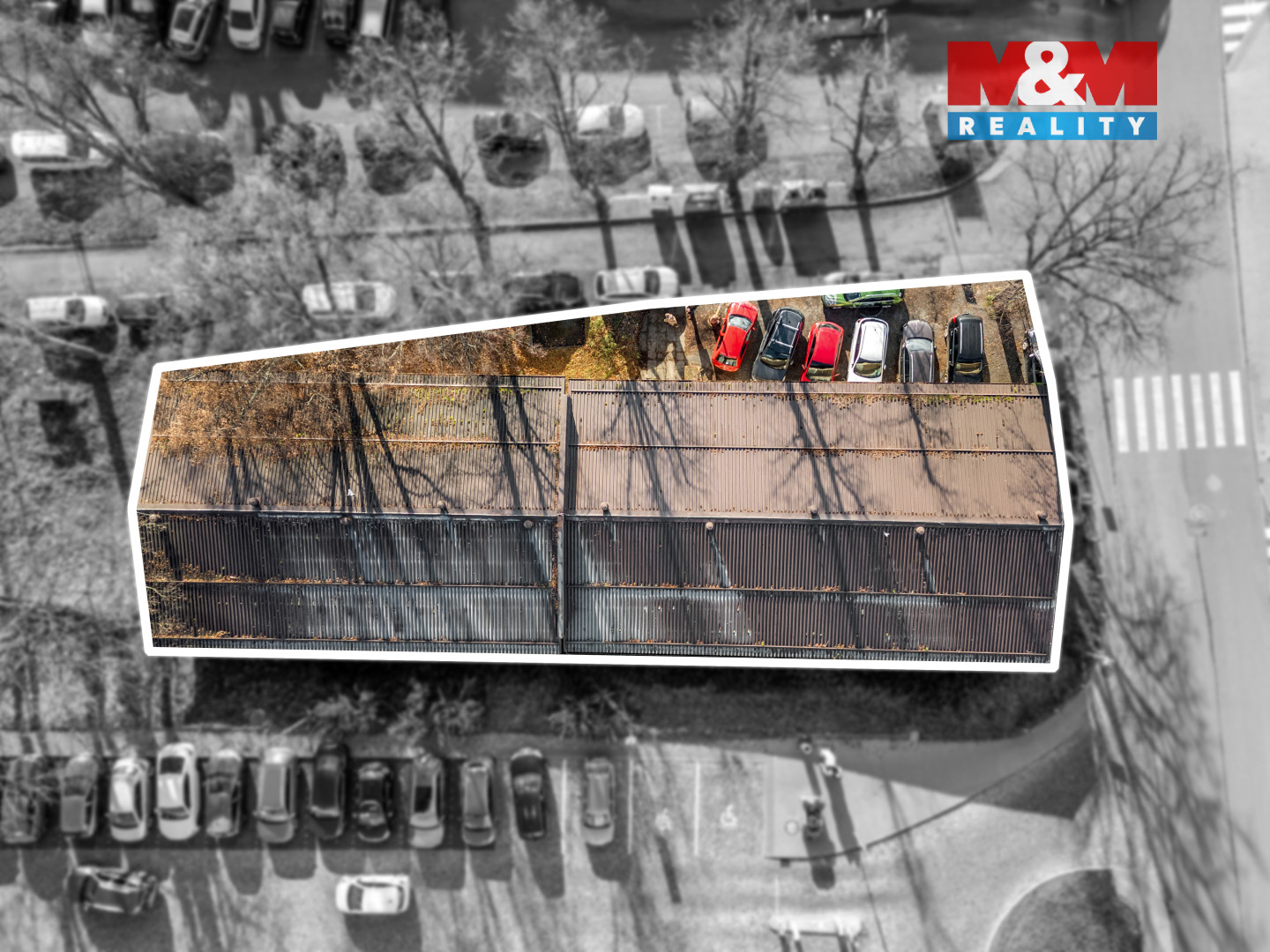 Gen. Richarda Tesa+Ö+şka_19.jpg