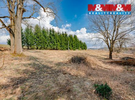 74ba86e1-7bfd-4603-b668-4f1facfe07c5.jpg | Prodej - pozemek pro bydlení, 5 453 m²