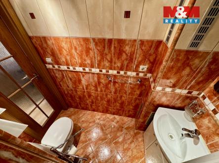 image_707B223E-DCA6-4A4C-A072-855A9E6BCC21_1744296314.jpeg | Pronájem bytu, 1+kk, 22 m²