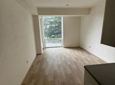 2.jpg | Pronájem bytu, 1+kk, 26 m²