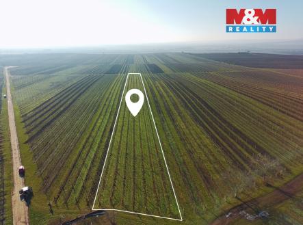 huge (1).jpg | Prodej - pozemek, zemědělská půda, 7 286 m²