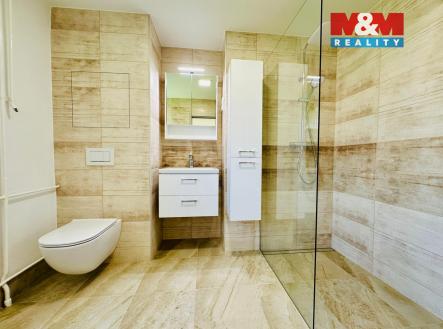 WhatsApp Image 2025-11-20 at 09.36.09 (1).jpeg | Pronájem bytu, 3+kk, 69 m²