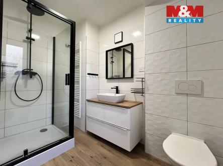 IMG_5705IIII.jpeg | Pronájem bytu, 2+1, 71 m²