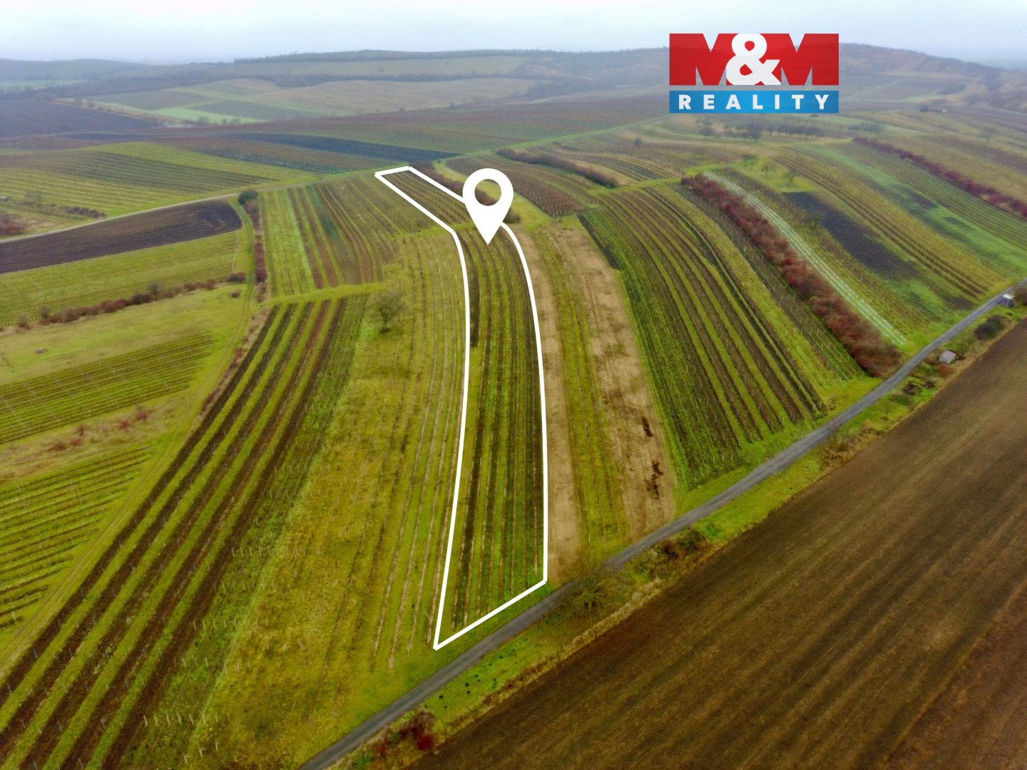 Návrh bez názvu (19).jpg