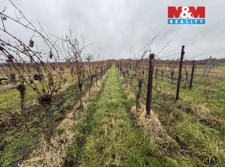 IMG_5418.jpeg | Prodej - pozemek, zemědělská půda, 6 580 m²