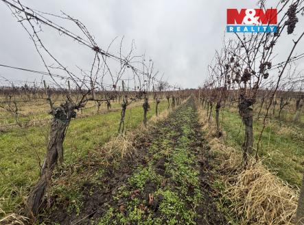 IMG_5412.jpeg | Prodej - pozemek, zemědělská půda, 6 580 m²