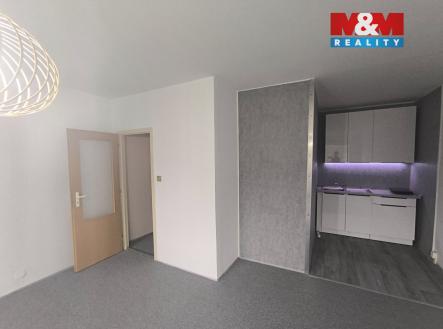 594192140_10223555496793769_5892842765177393252_n.jpg | Pronájem bytu, 1+kk, 30 m²