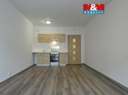 P1190115.jpg | Pronájem bytu, 1+kk, 29 m²