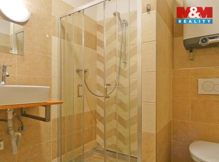 P1190112.jpg | Pronájem bytu, 1+kk, 29 m²