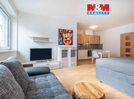 1 (4).jpg | Pronájem bytu, 1+kk, 45 m²