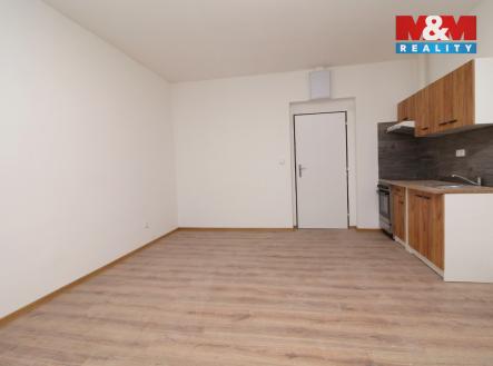 IMG_0327.jpg | Pronájem bytu, 1+1, 41 m²