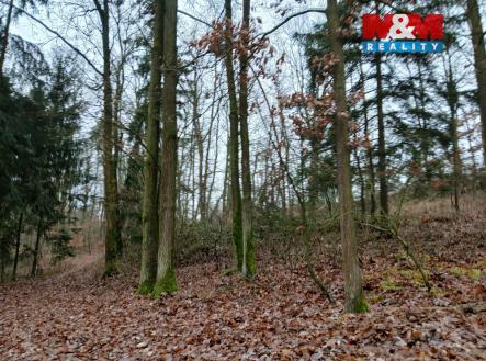 IMG-20251204-WA0006.jpg | Prodej - pozemek, les, 9 178 m²