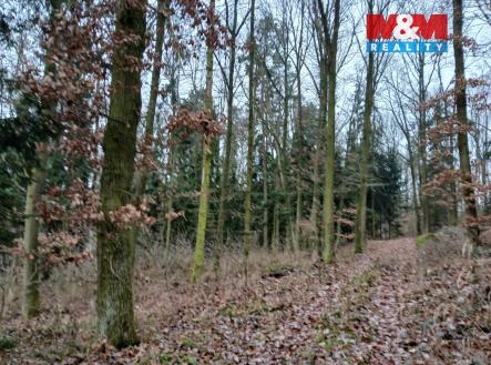 IMG-20251204-WA0007.jpg | Prodej - pozemek, les, 9 178 m²