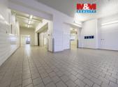 Pronájem - skladovací prostor, 249 m²