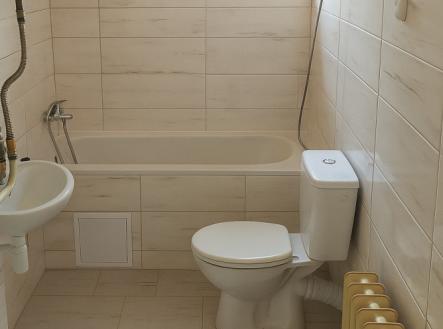 1B7379D3-7905-481B-A151-8DE4391D3A69.jpeg | Prodej bytu, 2+1, 50 m²