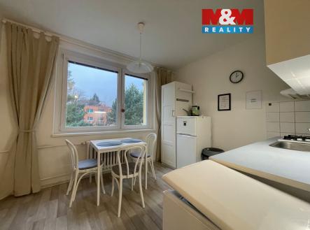 IMG_0297.jpeg | Pronájem bytu, 1+1, 38 m²