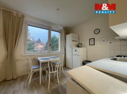 IMG_0297.jpeg | Pronájem bytu, 1+1, 38 m²