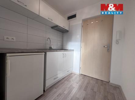 IMG_3031.jpeg | Pronájem bytu, 1+1, 28 m²