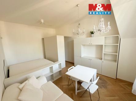 IMG_6097a.jpg | Pronájem bytu, 1+kk, 31 m²