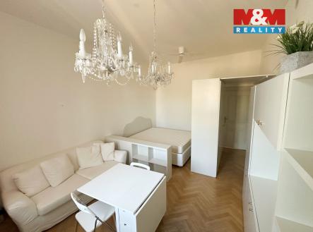 IMG_6096a.jpg | Pronájem bytu, 1+kk, 31 m²