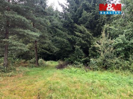 PHOTO-2025-11-28-07-23-23.jpg | Prodej - pozemek, ostatní, 8 649 m²