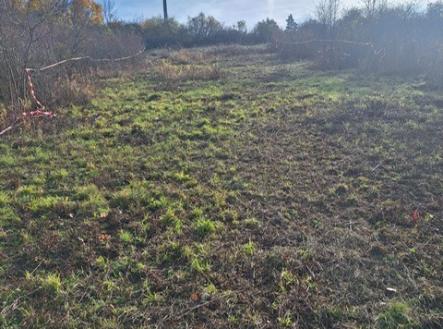 3b9000d2-94d7-4a54-aad3-555c1846b695.jpg | Prodej - pozemek, zahrada, 928 m²