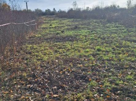 3a474503-730d-4763-ae4f-1841bfb6818d.jpg | Prodej - pozemek, zahrada, 928 m²