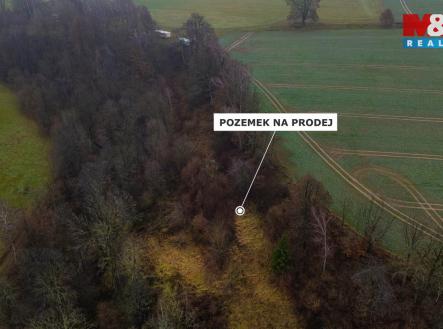 Pozemek | Prodej - pozemek, trvalý travní porost, 6 046 m²