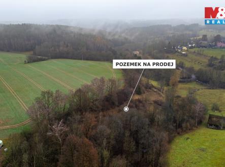 Pozemek | Prodej - pozemek, trvalý travní porost, 6 046 m²