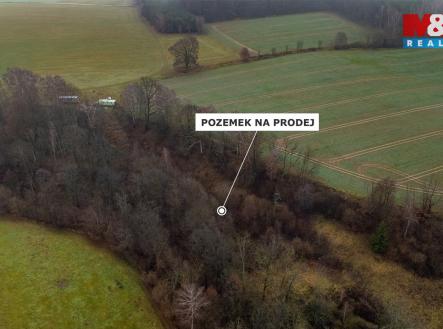 Pozemek | Prodej - pozemek, trvalý travní porost, 6 046 m²