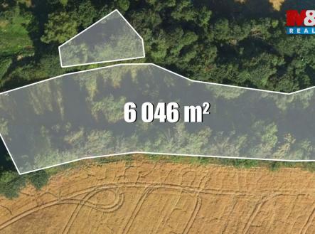 Pozemek | Prodej - pozemek, trvalý travní porost, 6 046 m²