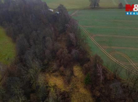 Pozemek | Prodej - pozemek, trvalý travní porost, 6 046 m²