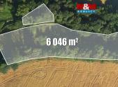 Prodej - pozemek, trvalý travní porost, 6 046 m²