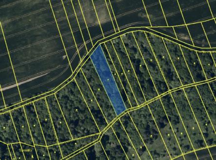 image_73056CDD-53D8-4544-B41F-052E27AD186D_1763144398.jpeg | Prodej - pozemek, trvalý travní porost, 2 250 m²