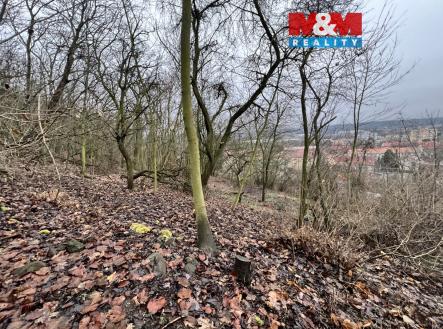 IMG_7646.jpeg | Prodej - pozemek pro bydlení, 1 101 m²