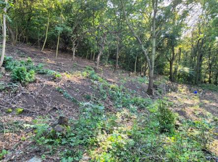 IMG_7663.jpeg | Prodej - pozemek pro bydlení, 1 101 m²