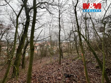 IMG_7648.jpeg | Prodej - pozemek pro bydlení, 1 101 m²