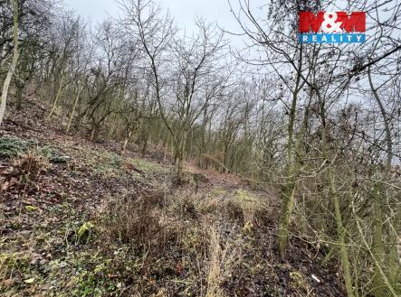 IMG_7643.jpeg | Prodej - pozemek pro bydlení, 1 101 m²