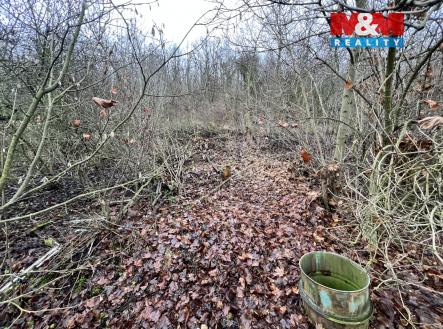 IMG_7642.jpeg | Prodej - pozemek pro bydlení, 1 101 m²