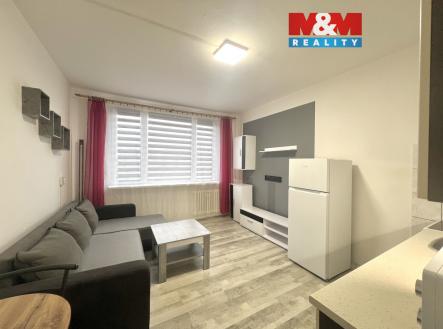 IMG_1069.jpeg | Pronájem bytu, 1+kk, 20 m²