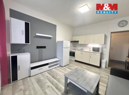 IMG_1072.jpeg | Pronájem bytu, 1+kk, 20 m²