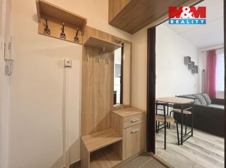 IMG_1074.jpeg | Pronájem bytu, 1+kk, 20 m²