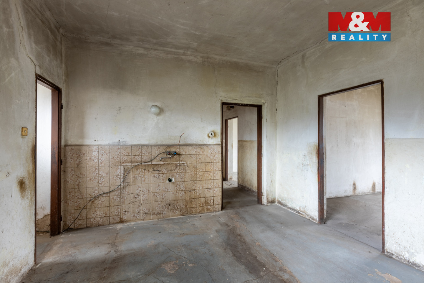 Realitni╠ü fotografie - Kladruby - Denisa Zemanova╠ü - 8.jpg