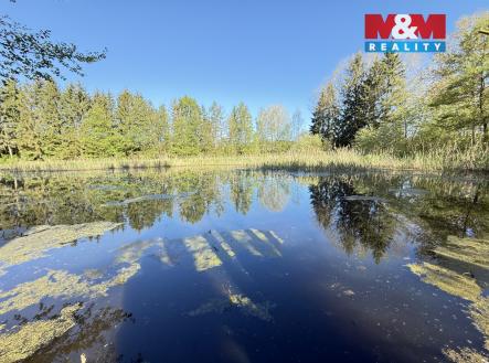 IMG_9911.jpg | Prodej - pozemek, ostatní, 5 965 m²